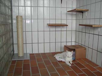 Bild6: Unterbringung der Katze nach erfolgter Radiojodtherapie im Kontrollbereich